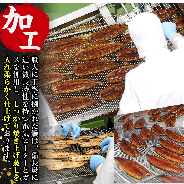 i1078-C ＼特大サイズ／鹿児島県産 うなぎ蒲焼 5尾（約220g×5・計約1100g） たれ 山椒付きうなぎ 鰻 ウナギ 特大 特大サイズ 約220g 蒲焼き 国産 鹿児島県産 焼きたて 生産量日本一 真空パック おかず 晩御飯 特別な日 土用の丑の日 【薩摩川内鰻】