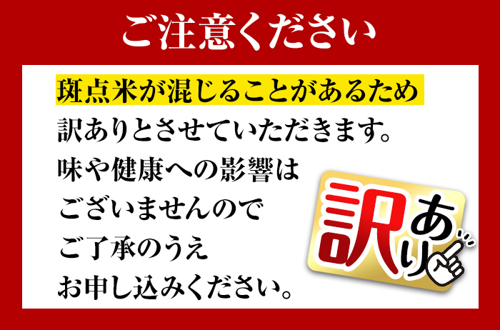 i873-A ＜先行予約受付中！2024年10月中旬～11月下旬の間に発送予定＞クロレラ米（あきほなみ 白米・5kg×2袋・計10kg) 米 お米 10kg 白米 あきほなみ クロレラ米 健康食品 クロレラ配合 精米 【黄龍農園】