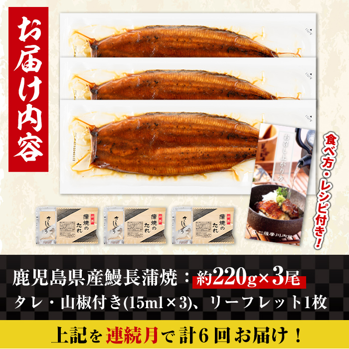 i1175-A シ懷ョ壽悄萓ソ繝サ險6蝗(騾」邯壽怦)シ橸シシ迚ケ螟ァ繧オ繧、繧コシ城ケソ蜈仙ウカ逵檎肇 縺縺ェ縺手調辟シ 3蟆セ繧サ繝繝 シ懶シ育エ220gテ3繝サ險育エ660gシ嘉怜ィ6蝗橸シ 螳壽悄萓ソ 縺溘l 螻ア讀剃サ倥″縺縺ェ縺 魏サ 繧ヲ繝翫ぐ 迚ケ螟ァ 迚ケ螟ァ繧オ繧、繧コ 邏220g 闥イ辟シ縺 蝗ス逕」 鮖ソ蜈仙ウカ逵檎肇 辟シ縺阪◆縺ヲ 逕溽肇驥乗律譛ャ荳 逵溽ゥコ繝代ャ繧ッ 縺翫°縺 譎ゥ蠕。鬟ッ 迚ケ蛻・縺ェ譌・ 蝨溽畑縺ョ荳代ョ譌・ 縲占湊鞫ゥ蟾晏魏サ縲