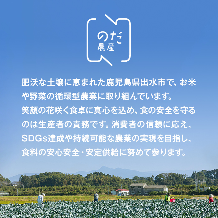 i994 ≪2025年12月上旬～4月下旬の間に発送予定≫ ブロッコリー 約2kg (M～L玉) 鹿児島 出水 国産 生 野菜 ブロッコリー 朝どれ 新鮮 産地直送 JGAP認証 安心安全 【のだ農産】