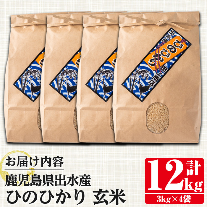 i503 令和5年産！鹿児島県出水市産ひのひかり玄米＜3kg×4袋・計12kg＞【田上商店】