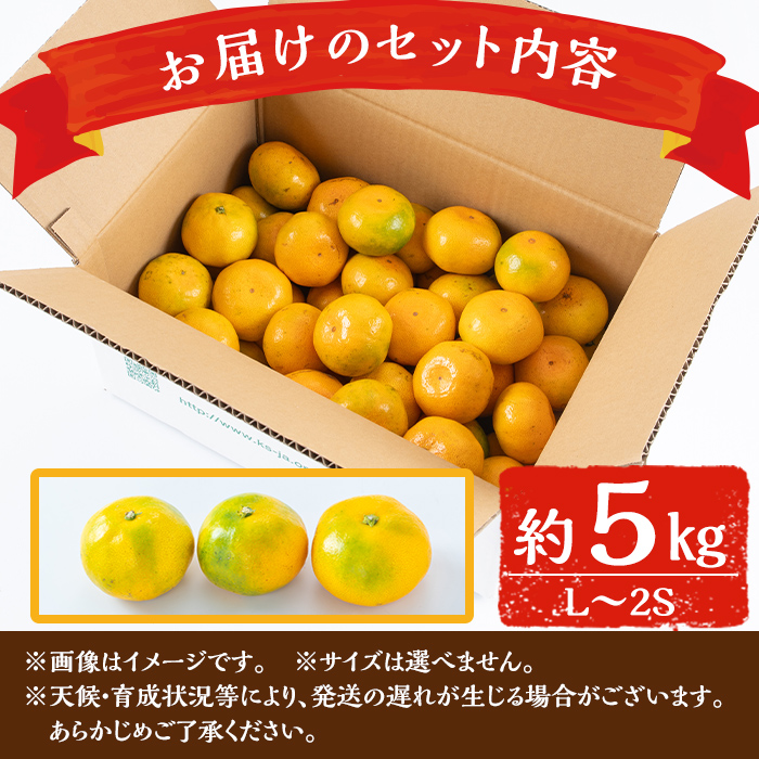 i627 ≪先行予約受付中！2024年10月中旬〜10月下旬の間に発送≫ こだわりみかん(約5kg) 国産 鹿児島県産 温州みかん みかん 柑橘 種果物 果物 くだもの フルーツ 旬 糖度抜群 【JA鹿児島いずみ(果実課)】