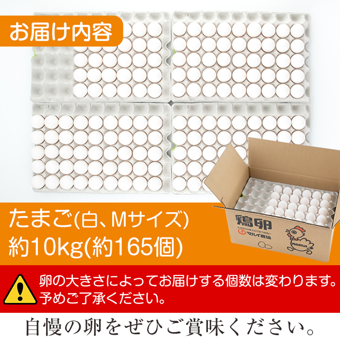 i303 鹿児島県産の白たまご約10kg(約165個・Mサイズ)業務用仕様！養鶏の専門農協で一貫して生産された国産生卵！【マルイ食品】