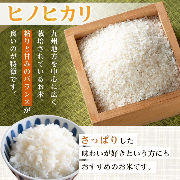 i1079-B 什å7å¹Žç£ é¹¿å
å³¶ç åºæ°Žåžç£ ãããã«ãª(èš10kgã»5kgÃ2è¢) ç±³ 10kg ã²ã®ã²ãããããã«ãª 鹿å
å³¶ 10ãã ãç±³ ä¹å· ä¹å·ç£ çã¿ ãã£ãã ãã¡ãã¡ ãããã¿ãããã³ã