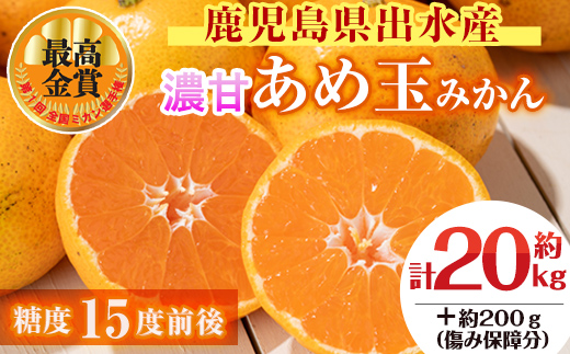 i573 ＜先行予約受付中！2025年11月中旬〜2026年1月下旬の間に発送予定＞【特別栽培・最高金賞】温州みかん日本一！濃甘あめ玉みかん(計約20kg・10kg×2箱＋傷み保障約200g(3〜4玉) みかん 蜜柑 ミカン 柑橘 果物 フルーツ 果実 国産 鹿児島  【Farmer friends Marche】