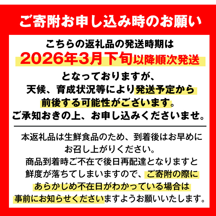 i593 ＜2026年3月下旬～6月中旬の間に発送予定＞農6みかん(約10kg) 果物 フルーツ 柑橘 国産 鹿児島県産 みかん 蜜柑 【江崎果樹園】