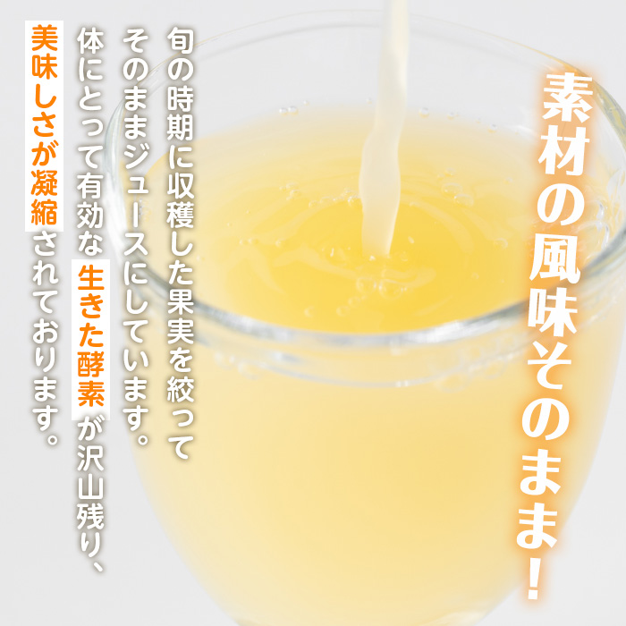 i610 ＜数量限定＞柑橘ストレートジュース詰め合わせ(180ml×10本・全3種)【江崎果樹園】