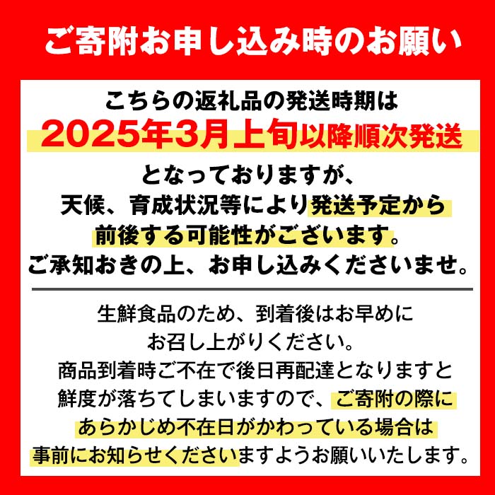 i629 ≪先行予約受付中！2025年3月上旬から順次発送予定≫鹿児島県産！＜露地栽培＞大将季(約5kg・L~4Lサイズ(15~24玉))【JA鹿児島いずみ(果実課)】