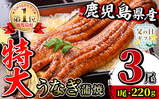 i1078-B-f 【父の日ギフト】＼特大サイズ／鹿児島県産 うなぎ蒲焼 3尾（約220g×3・計約660g） たれ 山椒付きうなぎ 鰻 ウナギ 特大 特大サイズ 約220g 蒲焼き 国産 鹿児島県産 焼きたて 生産量日本一 真空パック おかず 晩御飯 特別な日 贈答 ギフト プレゼント 父の日 【薩摩川内鰻】