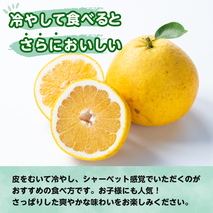 i604 ＜2026年4月下旬～5月下旬の間に発送予定＞＜訳あり＞河内晩柑 (約10kg) 鹿児島 国産 柑橘 果物 果実 フルーツ 蜜柑 みかん 【江崎果樹園】