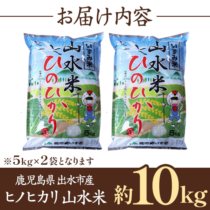 i072 鹿å
å³¶çåºæ°Žåžç£ãããã«ãª 山氎米(10kg) ç±³ ãç±³ 10kg 粟米 ãã©ã³ãç±³ ãã¯ã ã飯 ã²ã®ã²ãã çœç±³ ãã«ãã ãåŒåœ ãJA鹿å
å³¶ããã¿(ç±³)ã