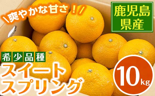 i565 ＜2024年12月下旬～2025年2月下旬の間に発送予定＞＜数量・期間限定＞スイートスプリング(約10kg)【江崎果樹園】