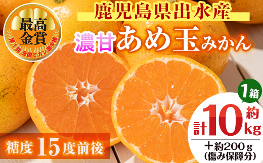 i572 ＜先行予約受付中！2025年11月中旬〜2026年1月下旬の間に発送予定＞【特別栽培・最高金賞】温州みかん日本一！濃甘あめ玉みかん(約10kg・1箱＋傷み保障 約200g(3〜4玉)  みかん 蜜柑 ミカン 柑橘 果物 フルーツ 果実 国産 鹿児島  【Farmer friends Marche】