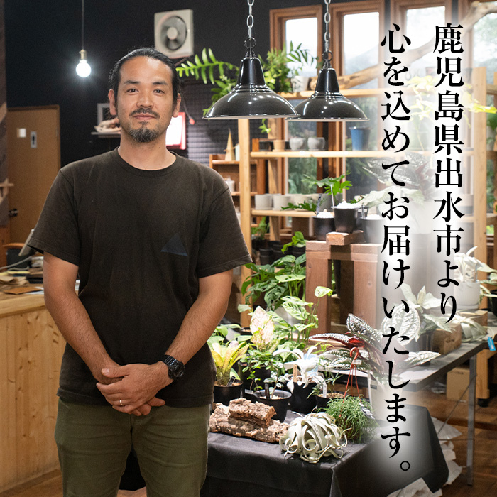 i616 コルクレザーハンギング(植物なし)地球環境や動物に配慮した素材で作られたプラントハンガー！【kurk PLANT LEATHER】