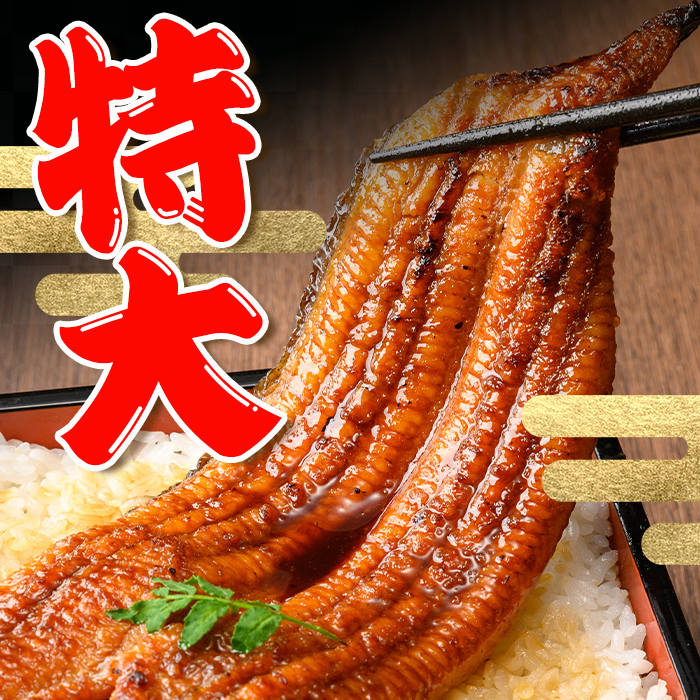 i1078-B ＼特大サイズ／鹿児島県産 うなぎ蒲焼 3尾（約220g×3・計約660g） たれ 山椒付きうなぎ 鰻 ウナギ 特大 特大サイズ 約220g 蒲焼き 国産 鹿児島県産 焼きたて 生産量日本一 真空パック おかず 晩御飯 特別な日 土用の丑の日 【薩摩川内鰻】