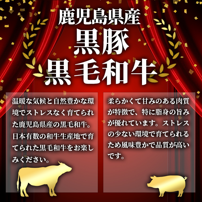 i1008 ＜定期便・計12回(連続)＞黒毛和牛黒豚定期便(総計約10.7kg以上) 国産 九州産 鹿児島産 黒毛和牛 牛肉 国産牛 黒豚 豚肉 サーロイン ステーキ 切り落とし 切落し しゃぶしゃぶ すき焼き 定期便 12回 冷凍配送 【スターゼン】