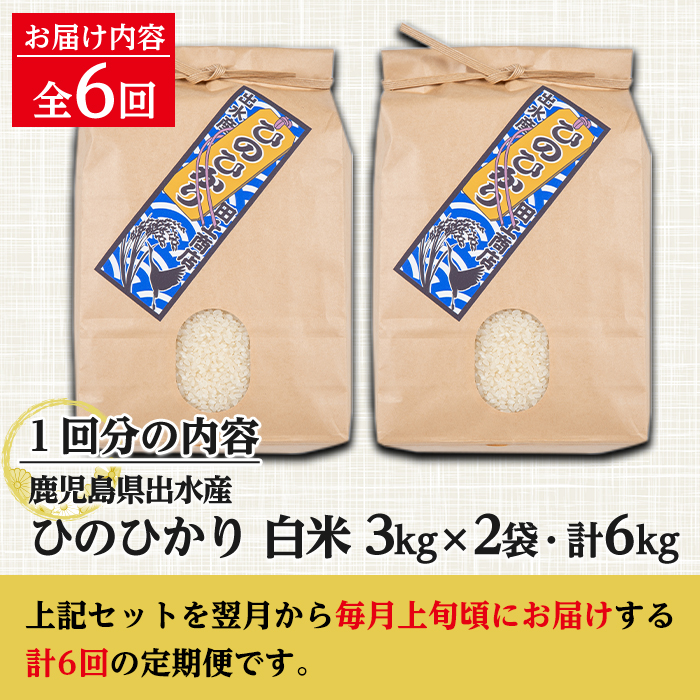 i704 ＜定期便・計6回(連続)＞鹿児島県出水市産ひのひかり＜(3kg×2袋・計6kg)×全6回＞【田上商店】