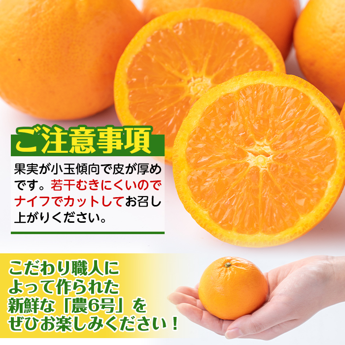 i593-m 【母の日ギフト】農6みかん(約10kg) 果物 フルーツ 柑橘 国産 鹿児島県産 みかん 蜜柑 母の日 プレゼント ギフト 贈答 【江崎果樹園】