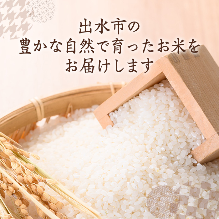 i072 鹿å
å³¶çåºæ°Žåžç£ãããã«ãª 山氎米(10kg) ç±³ ãç±³ 10kg 粟米 ãã©ã³ãç±³ ãã¯ã ã飯 ã²ã®ã²ãã çœç±³ ãã«ãã ãåŒåœ ãJA鹿å
å³¶ããã¿(ç±³)ã