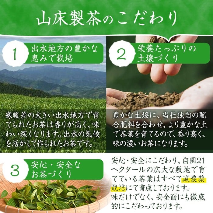 i1018 水出し茶・緑茶・ほうじ茶ティーバッグ(計6袋・各2袋×25個入)【山床製茶】