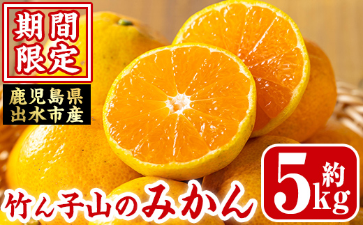 i1030 ＜先行予約受付中！2025年11月上旬～12月下旬の間に発送予定＞≪数量・期間限定≫いずみ産 竹ん子山のみかん(約5kg) 鹿児島 国産 九州産 みかん ミカン 蜜柑 柑橘 くだもの フルーツ 果実 【イーサイドライン】