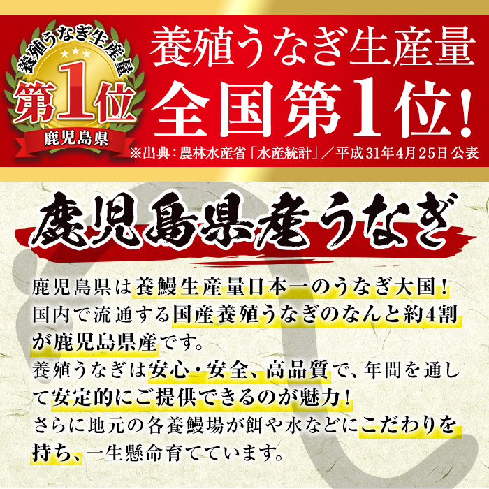 i1084-A ＜定期便・計6回(連続月)＞鹿児島県産うなぎ蒲焼4尾セット＜(約140g×4・計約560g)×全6回＞ うなぎ 鰻 ウナギ 4尾 蒲焼き 国産 鹿児島県産 焼きたて 生産量日本一 真空パック おかず 晩御飯 特別な日 土用の丑の日 丑の日 定期便 【薩摩川内鰻】