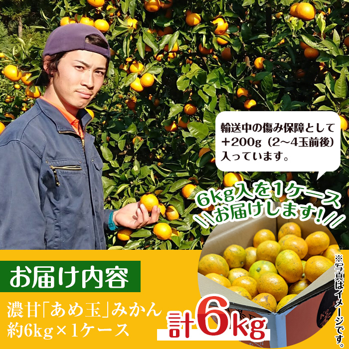 i570 ＜2024年11月下旬～2025年1月下旬の間に発送予定＞【特別栽培・最高金賞】温州みかん日本一！濃甘あめ玉みかん(約6kg・1箱＋傷み保障 約200g(3～4玉)【Farmer friends Marche】