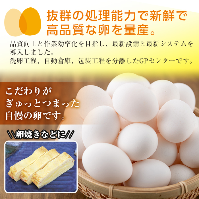 i303 鹿児島県産の白たまご約10kg(約165個・Mサイズ)業務用仕様！養鶏の専門農協で一貫して生産された国産生卵！【マルイ食品】