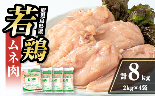 i1091-B 鹿児島県産 若鶏ムネ肉 (2kg×4袋・計8kg ) 鶏肉 鳥肉 とり肉 ムネ むね肉 国産 鹿児島県産 2kg 8kg 安心安全 冷凍 【まつぼっくり】