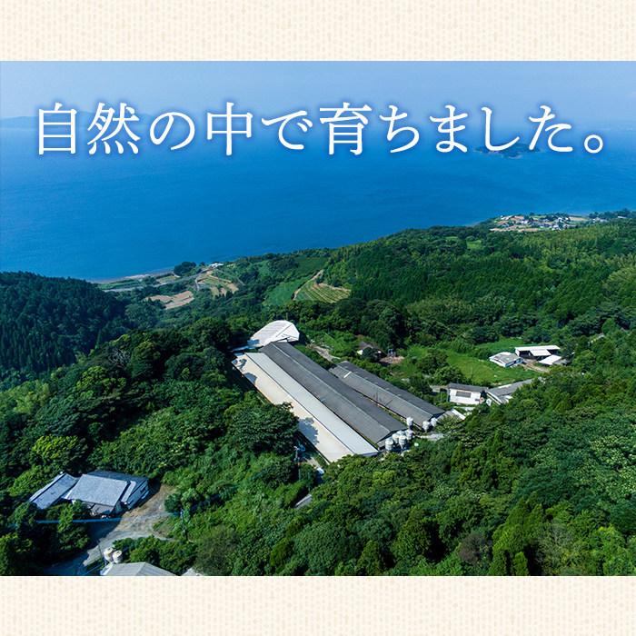 i328 《業務用・訳あり》サラダハム(約1kg×2本・計2kg)国産豚肉の頭肉を塩漬熟成させた風味豊かなプレスハム！サラダのトッピングに【ナンチク】