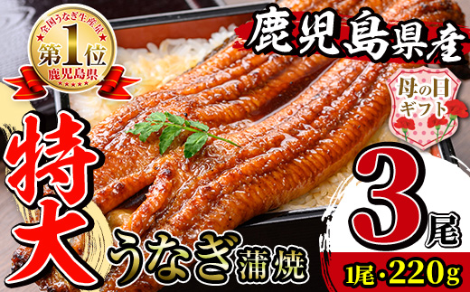i1078-B-m 【母の日ギフト】＼特大サイズ／鹿児島県産 うなぎ蒲焼 3尾（約220g×3・計約660g） たれ 山椒付きうなぎ 鰻 ウナギ 特大 特大サイズ 約220g 蒲焼き 国産 鹿児島県産 焼きたて 生産量日本一 真空パック おかず 晩御飯 特別な日 贈答 ギフト プレゼント 母の日 【薩摩川内鰻】