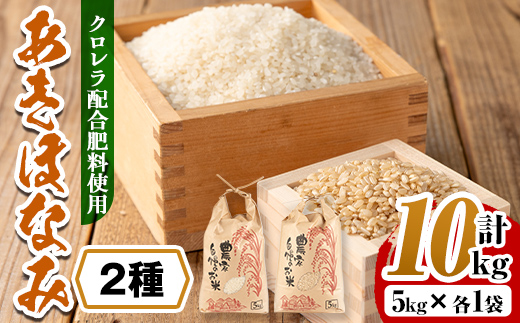 i873-C ＜2024年10月中旬～11月下旬の間に発送予定＞クロレラ米（あきほなみ 白米＋玄米 ・5kg×各1袋・計10kg) 米 お米 10kg 白米 玄米 あきほなみ クロレラ米 健康食品 クロレラ配合 精米 【黄龍農園】