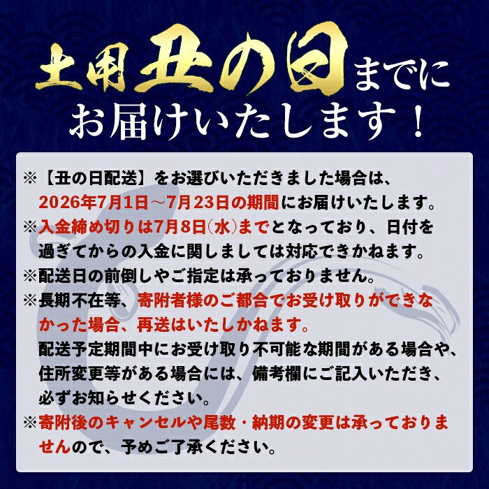i505-us 【丑の日までに配送】鹿児島県産うなぎ蒲焼2尾セット(約140g×2・計約280g) うなぎ 鰻 ウナギ 2尾 蒲焼き 国産 鹿児島県産 焼きたて 生産量日本一 真空パック おかず 晩御飯 特別な日 土用の丑の日 丑の日 【薩摩川内鰻】