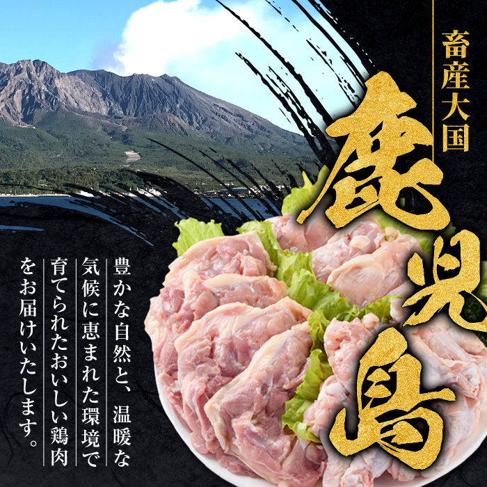 i448 若鶏ムネ肉(計12kg・2kg×6袋)鹿児島県産の鶏肉をお届け 鶏肉 鳥肉 とり肉 ムネ むね肉 国産 鹿児島県産 2kg 計12kg 安心安全 【まつぼっくり】