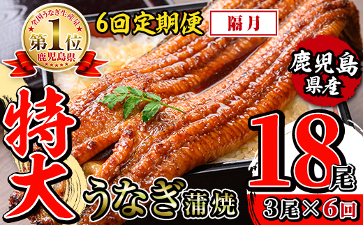 i1175-B ＜定期便・計6回(隔月)＞＼特大サイズ／鹿児島県産 うなぎ蒲焼 3尾セット ＜（約220g×3・計約660g）×全6回＞ 定期便 たれ 山椒付きうなぎ 鰻 ウナギ 特大 特大サイズ 約220g 蒲焼き 国産 鹿児島県産 焼きたて 生産量日本一 真空パック おかず 晩御飯 特別な日 土用の丑の日 【薩摩川内鰻】