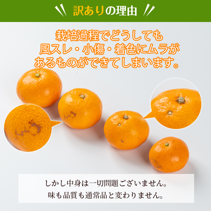 i1069-B ＜数量・期間限定＞《傷ありのため訳あり》鹿児島みかん 早生系(約5kg)【江崎果樹園】