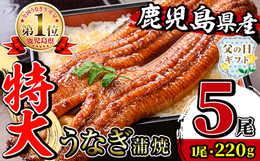 i1078-C-f 【父の日ギフト】＼特大サイズ／鹿児島県産 うなぎ蒲焼 5尾（約220g×5・計約1100g） たれ 山椒付きうなぎ 鰻 ウナギ 特大 特大サイズ 約220g 蒲焼き 国産 鹿児島県産 焼きたて 生産量日本一 真空パック おかず 晩御飯 特別な日 贈答 ギフト プレゼント 父の日 【薩摩川内鰻】