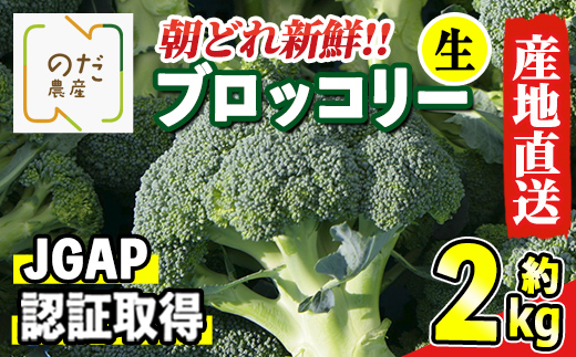 i994 ≪先行予約受付中！2024年12月上旬～3月下旬の間に発送予定≫ ブロッコリー 約2kg (M～L玉)【のだ農産】