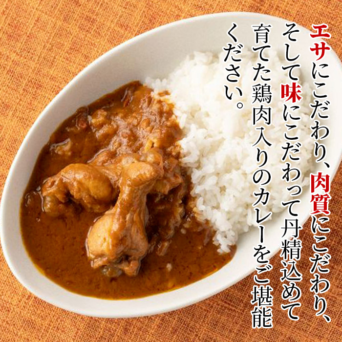 i672 いずみ赤鶏さつま編！よしもとカレー(5食・200g×5)【鹿児島サンフーズ】