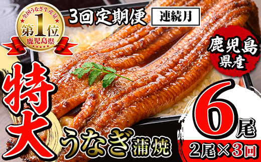 i1172-A ＜定期便・計3回(連続月)＞＼特大サイズ／鹿児島県産 うなぎ蒲焼 2尾セット＜（約220g×2・計約440g）×全3回＞ 定期便 たれ 山椒付きうなぎ 鰻 ウナギ 特大 特大サイズ 約220g 蒲焼き 国産 鹿児島県産 焼きたて 生産量日本一 真空パック おかず 晩御飯 特別な日 土用の丑の日 【薩摩川内鰻】