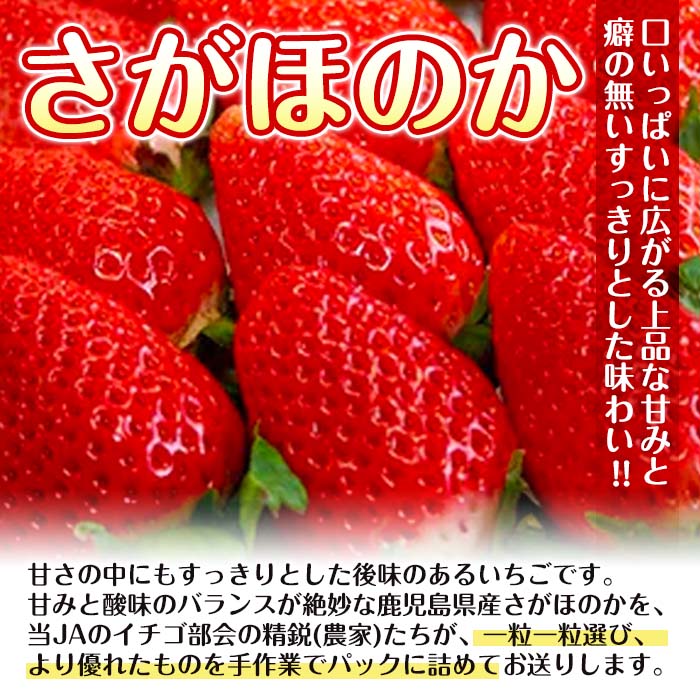 i109 ＜2025年1月中旬以降順次発送予定＞＜ギフト用・数量限定＞ 鹿児島県産イチゴ(計約1.4kg・40粒×2箱)【JA鹿児島いずみ】