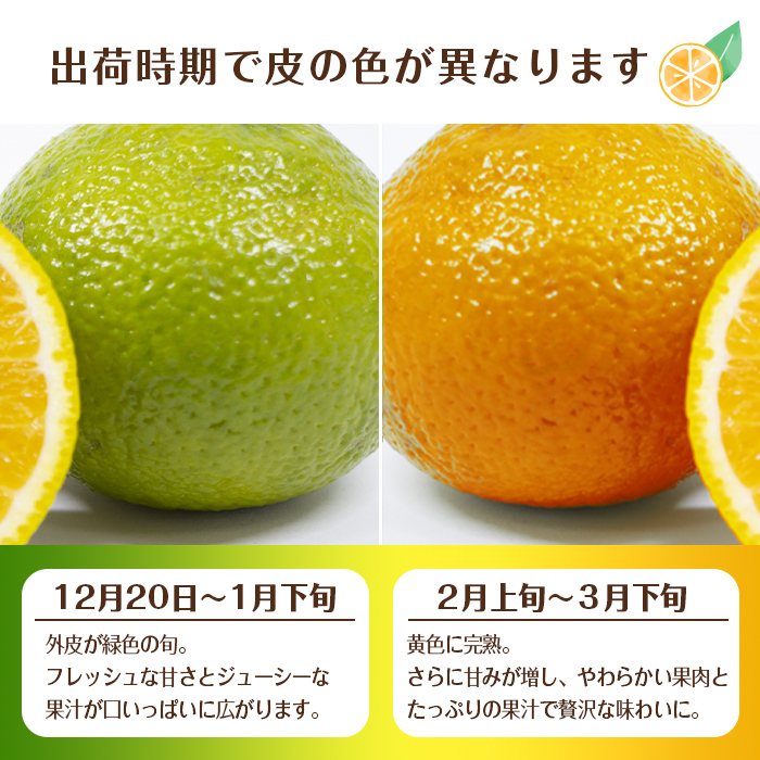 i1068 ＜数量・期間限定＞ スイートスプリング (約5kg) 鹿児島 みかん スイートスプリング 柑橘 果物 くだもの フルーツ 旬 ミカン オレンジ 【江崎果樹園】