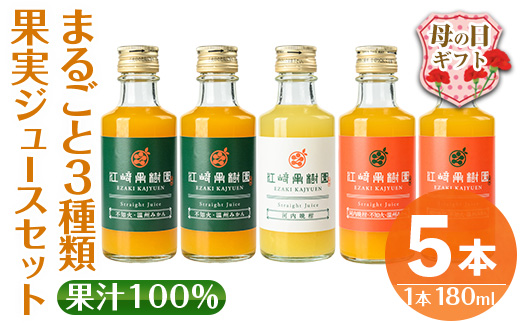 i990-D-m 【母の日ギフト】まるごと３種類果実ジュースセット(180ml×5本・全3種) 飲料 ジュース みかん 蜜柑 詰合せ 果汁 100% 河内晩柑 不知火 温州みかん 無着色 無香料 ストレートジュース 安心安全 母の日 プレゼント ギフト 贈答 【江崎果樹園】