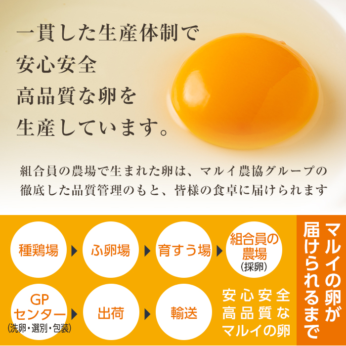 i303 鹿児島県産の白たまご約10kg(約165個・Mサイズ)業務用仕様！養鶏の専門農協で一貫して生産された国産生卵！【マルイ食品】