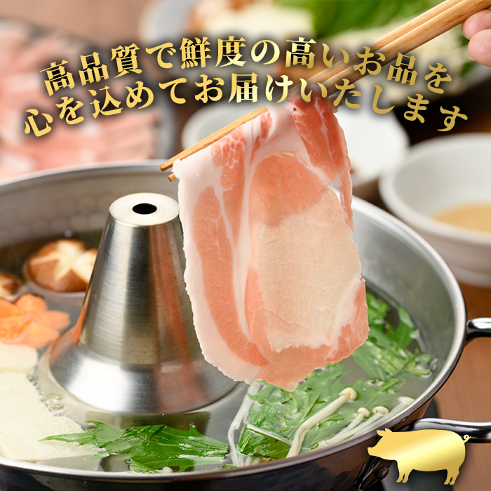 i1144-B ＜定期便・計3回(隔月)＞鹿児島県産 黒豚 しゃぶしゃぶ用 ローススライス 定期便(合計3kg) 国産 鹿児島県産 豚肉 黒豚 ブタ 個包装 小分け 薄切り うす切り 冷凍配送 定期便 3回 【スターゼン】