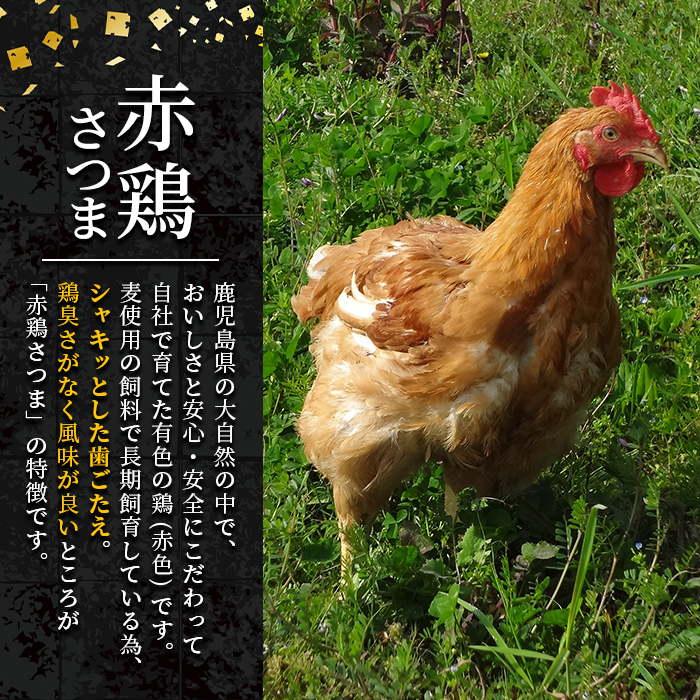 i592 鹿児島県産厳選赤鶏さつま焼き鳥串セット(5種各5本・計25本)【赤鶏農業協同組合】|JALふるさと納税|JALのマイルがたまるふるさと納税 サイト