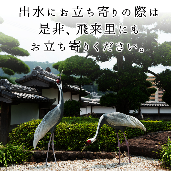 i170-f ãç¶ã®æ¥ã®ãããåºæ°Žã®äžèµé£²ã¿æ¯ã¹ããã€ãŸæšæœ é»éº¹ä»èŸŒã¿ã»åºæ°Žã«èå§«ã»åé¶Žã(å900mlÃ3æ¬) ç¶ã®æ¥ çŒé
èçŒé
æ¬æ ŒçŒé
飲ã¿ããã¹ ãã€ãŸãã ä¹å·éå® ãæ¹¯å²ã æ°Žå²ã ãã㯠å®
飲㿠家飲㿠ã®ãã ãã¬ãŒã³ã ãåºæ°Žåžåºæ°Žé§
芳å
ç¹ç£å通 飿¥éã