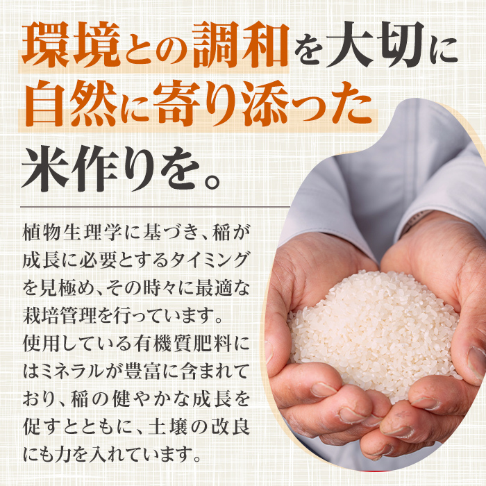 i1079-B 什å7å¹Žç£ é¹¿å
å³¶ç åºæ°Žåžç£ ãããã«ãª(èš10kgã»5kgÃ2è¢) ç±³ 10kg ã²ã®ã²ãããããã«ãª 鹿å
å³¶ 10ãã ãç±³ ä¹å· ä¹å·ç£ çã¿ ãã£ãã ãã¡ãã¡ ãããã¿ãããã³ã