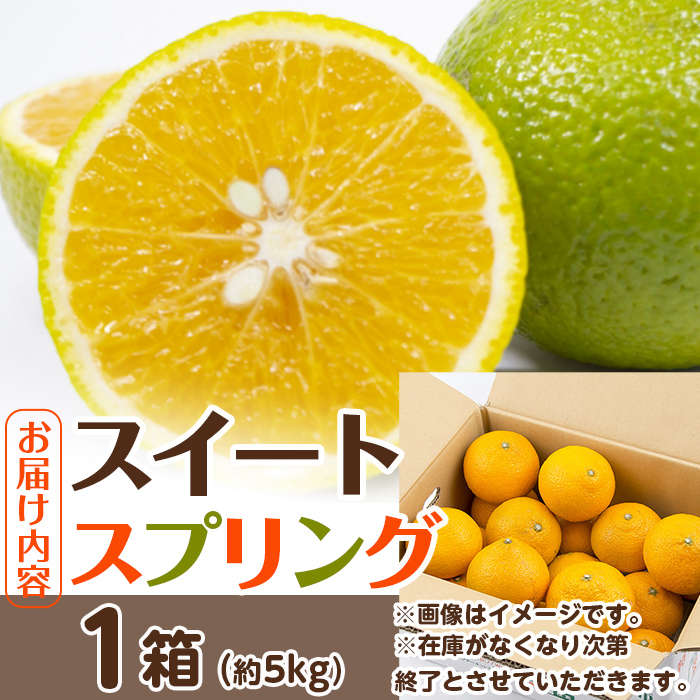 i1068 ＜数量・期間限定＞ スイートスプリング (約5kg) 鹿児島 みかん スイートスプリング 柑橘 果物 くだもの フルーツ 旬 ミカン オレンジ 【江崎果樹園】