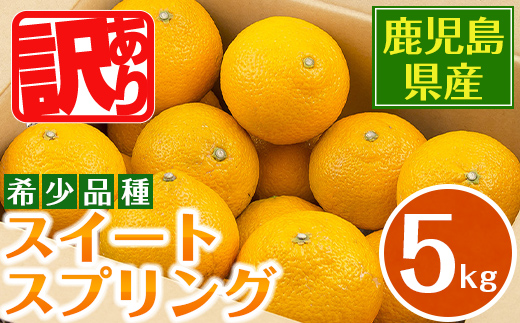 i1067-A ＜2024年12月下旬～2025年2月下旬の間に発送予定＞数量・期間限定＞《傷ありのため訳あり》スイートスプリング(約5kg)【江崎果樹園】